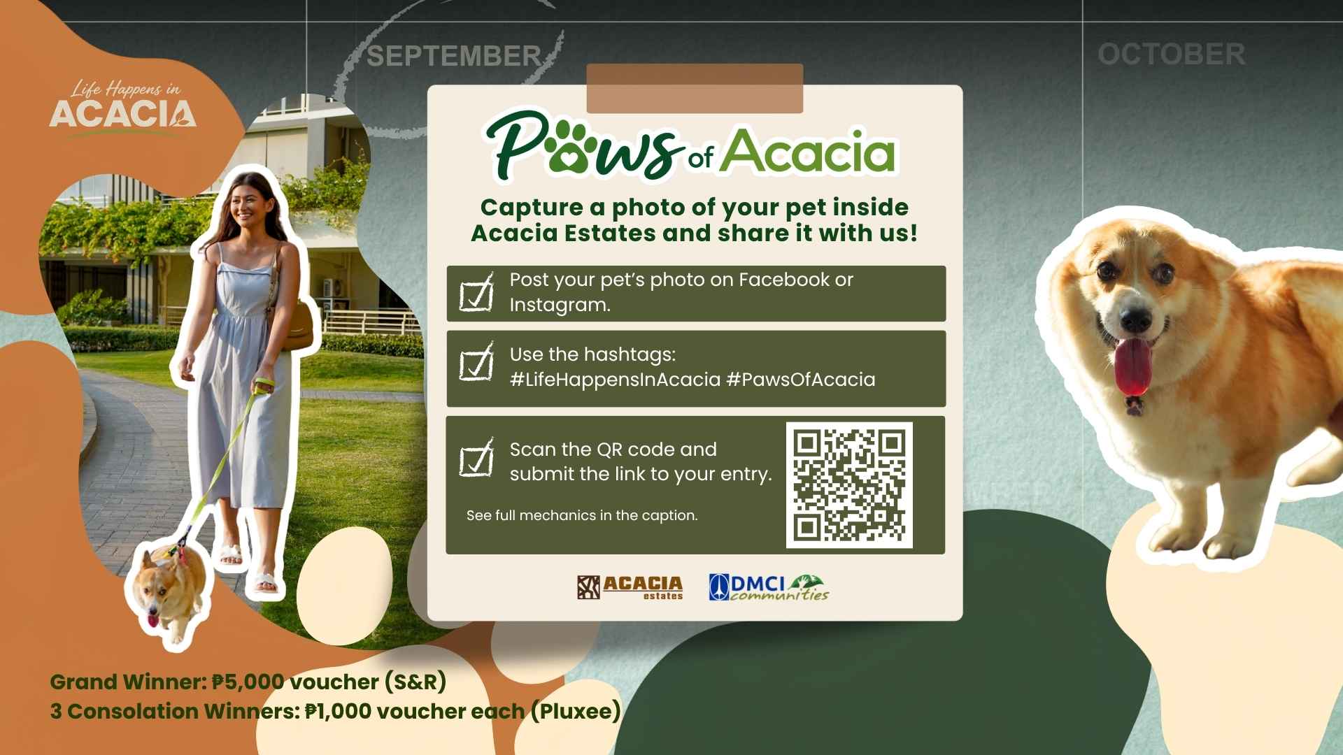 Life Happens in Acacia: Paws of Acacia